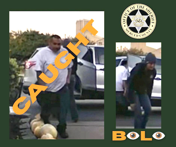 Merced SO pumpkin theft