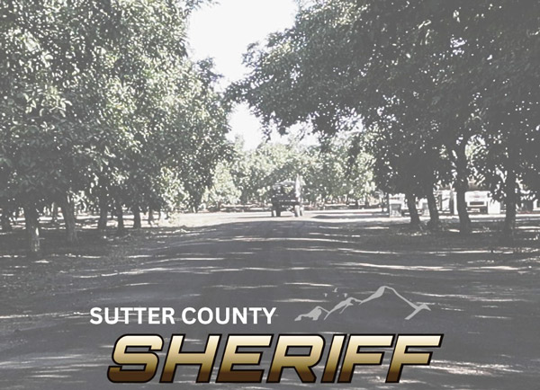 Sutter SO Walnut Theft
