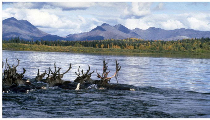 alaska nps