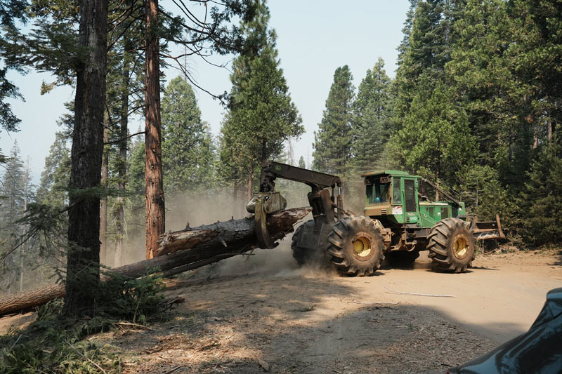 snf1031 garnet fire cleanup