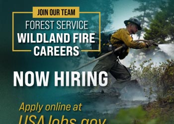 snf1917 jobs