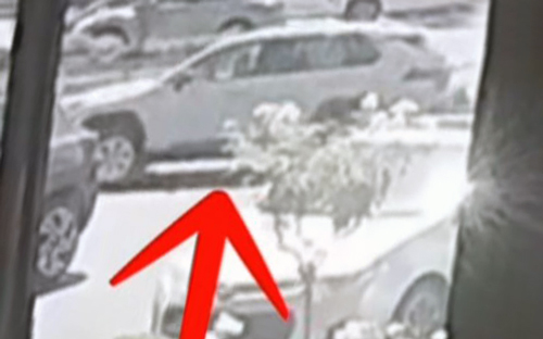 FPD Lululemon car