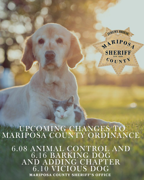 MCSO animal control
