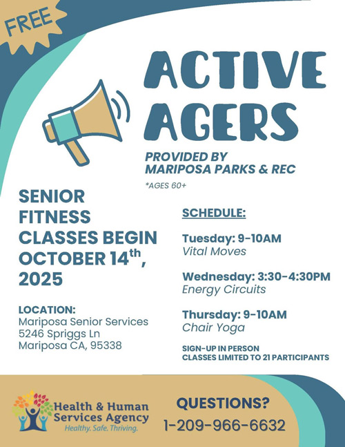 MHHS active agers