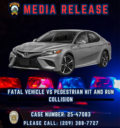 MPD pedestrian death