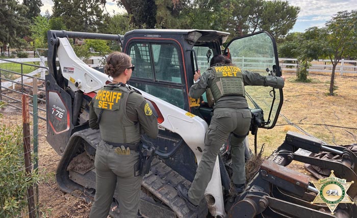 Madera SO skid steer