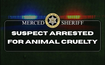 Merced SO dog