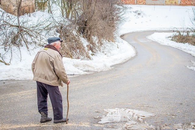 walking cane grandpa 2810809 640