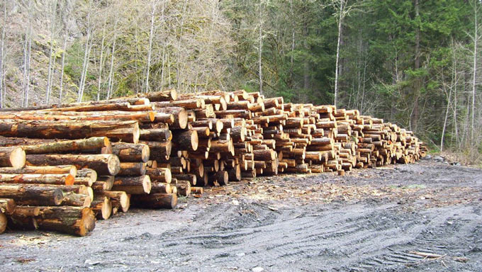 wood us forest service 680 2025