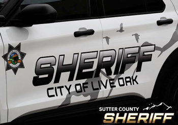 Sutter SO Live Oak