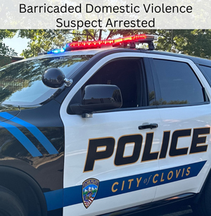 CPD dom violence