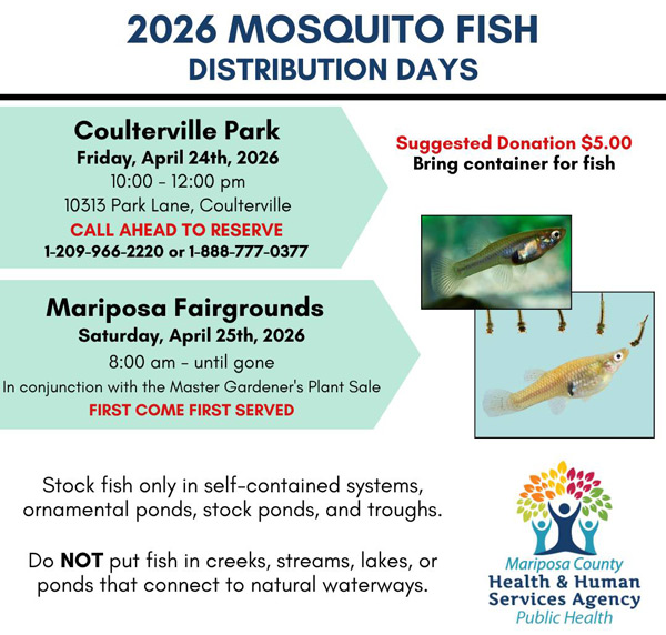 MHHS Mosquitofish