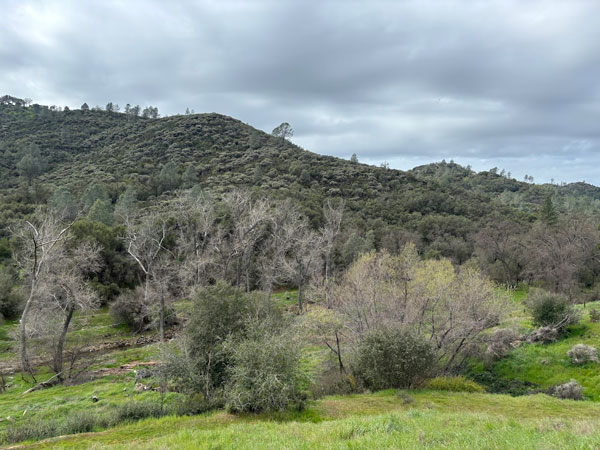 Mariposa County trails3