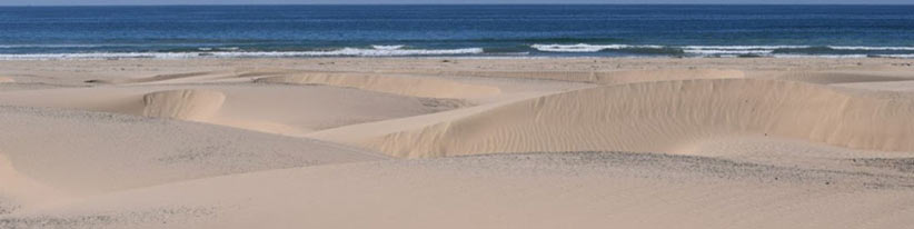 Oceano Dunes State Vehicular Recreation Area credit ca state parks