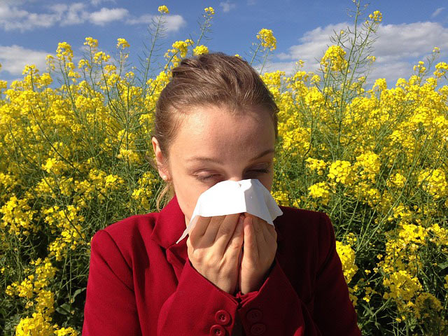 allergy sneezing cenczi allergy 1738191 640