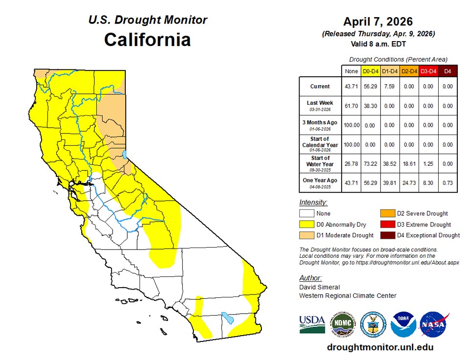 ca20260407 ca trd