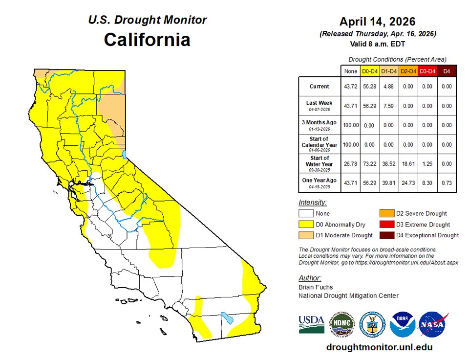 ca20260414 ca trd