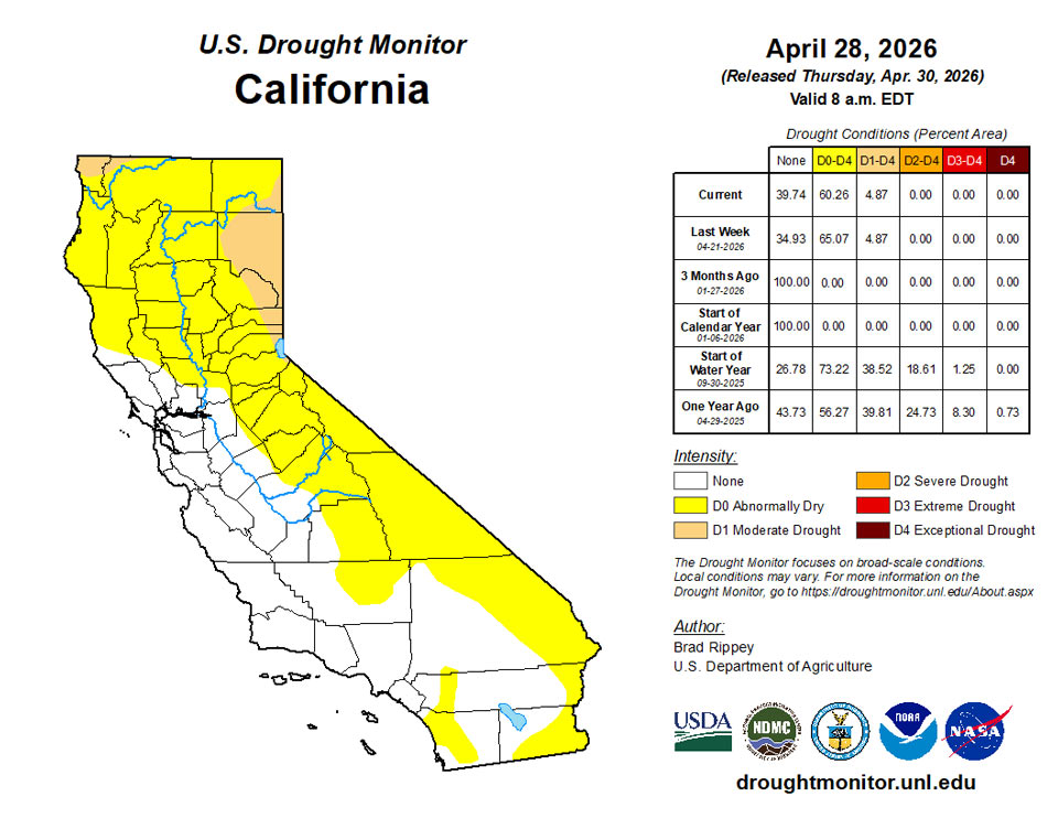 ca20260428 ca trd