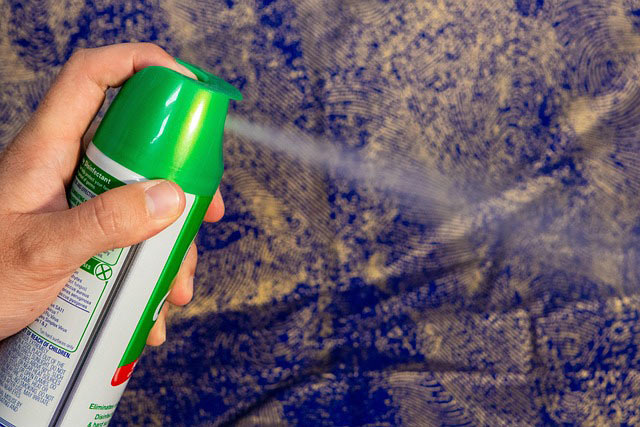 disinfectant spray squirrel photos disinfectant 5032675 640