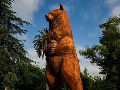 merced county bear
