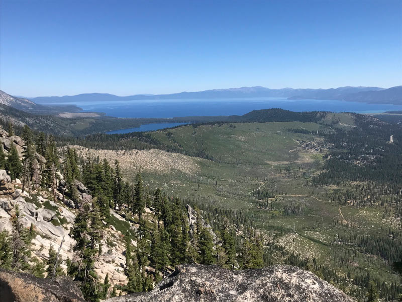ucdavis423 2022 photo of 2007 Angora Fire burn area in Tahoe credit Hugh Safford kat Kerlin UC Davis