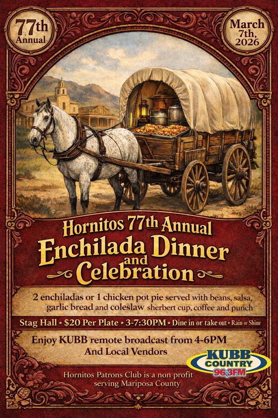 3 7 26 Hornitos enchilada