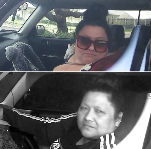 FCSO wanted fraud
