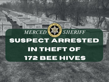 Merced SO beehives