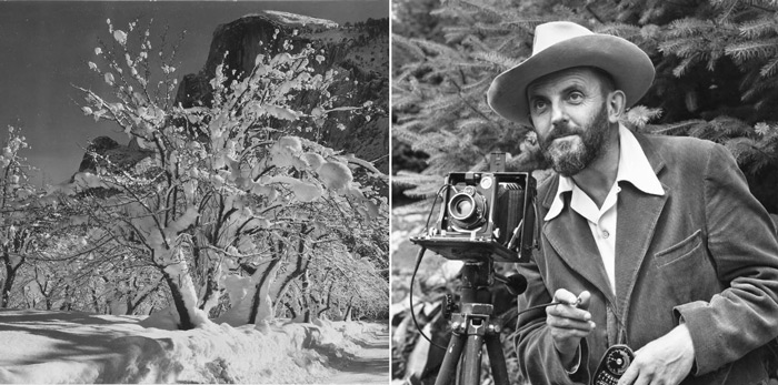 NPS Ansel Adams