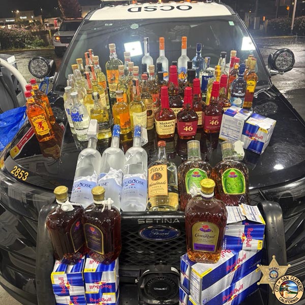 SCPD theft1