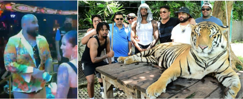 DOJ tiger