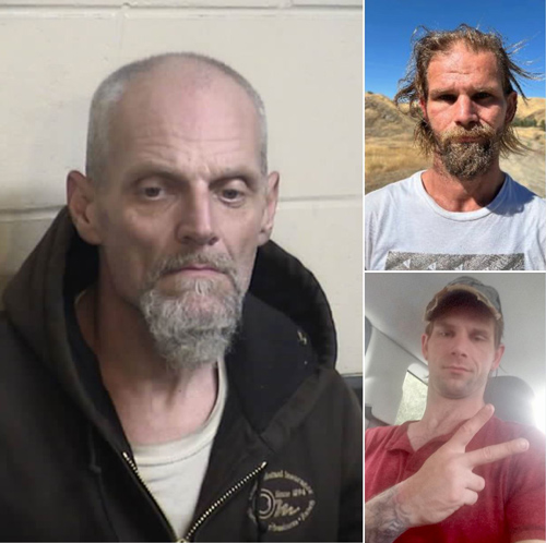 FCSO Sanger murder