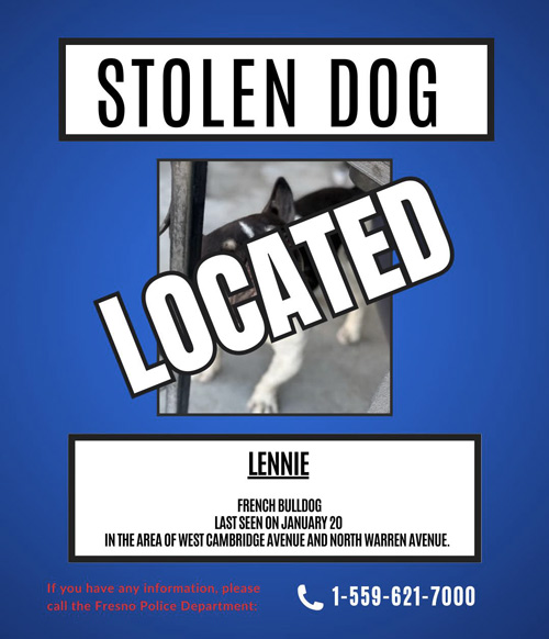 FPD stolen dog found