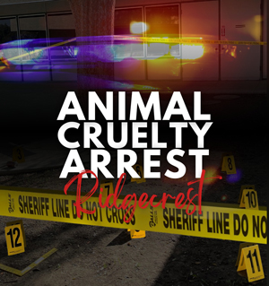KCSO animal cruelty