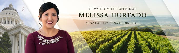 Melissa Hurtado California State Senator 2026