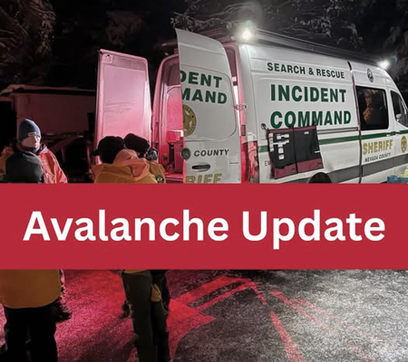 NCSO avalanche ID
