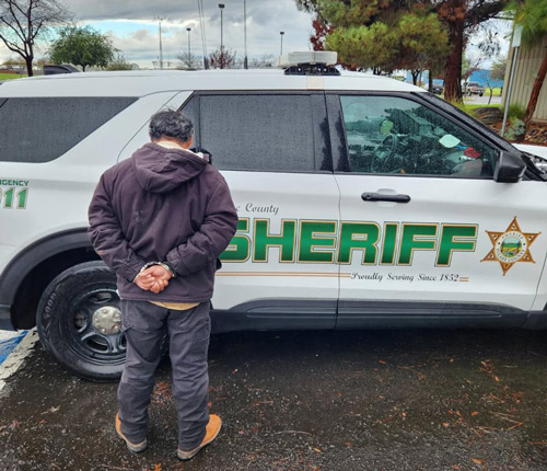TCSO sexual assault 500