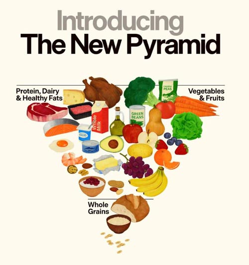 food pyramid 2026
