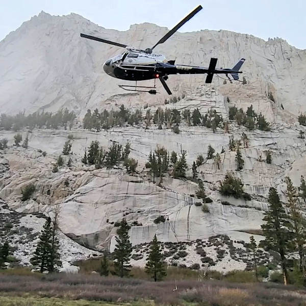ICSR rescue