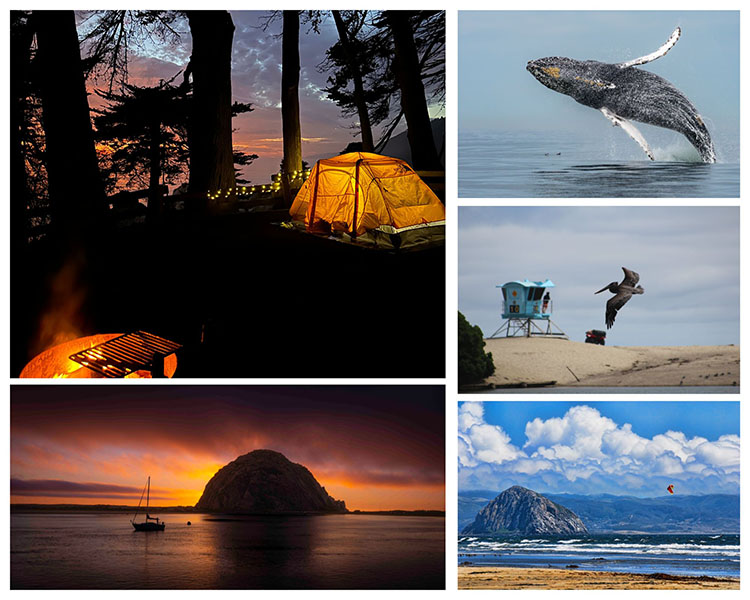 castateeparks608 2026 Photo Contest Collage