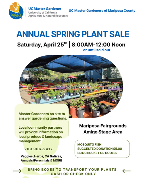 4 25 26 MMG Plant Sale