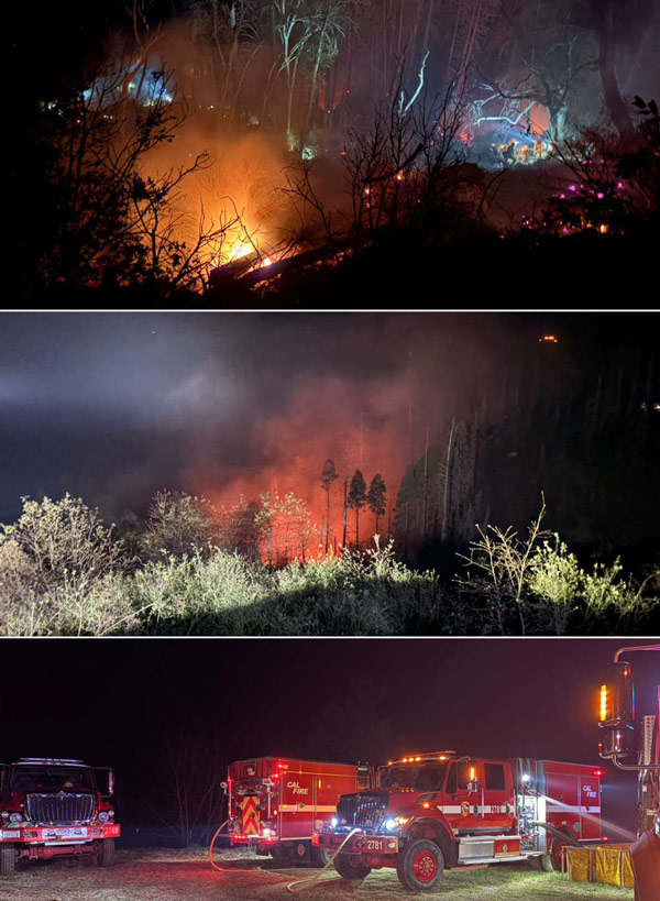 CAL FIRE arson EDC