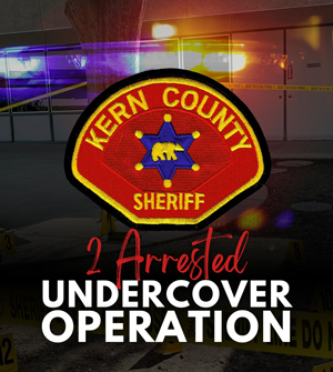 KCSO 2 arrested