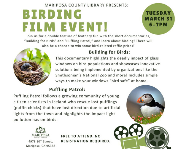 MCL birding film