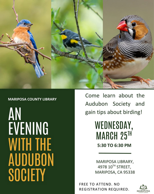 MCL birding flight