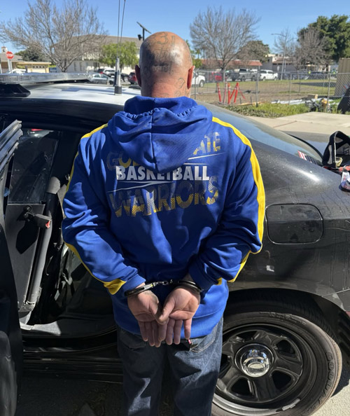 Monterey SO auto theft