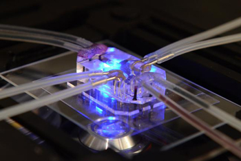 NIH 20260318 chip updated