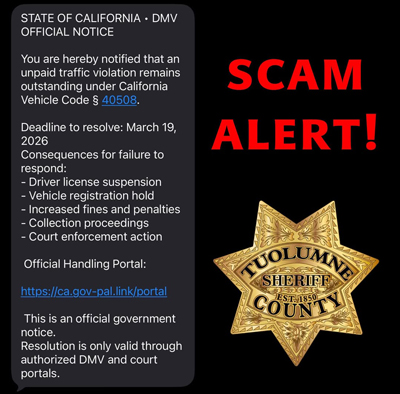 Tuolumne SO DMV scam