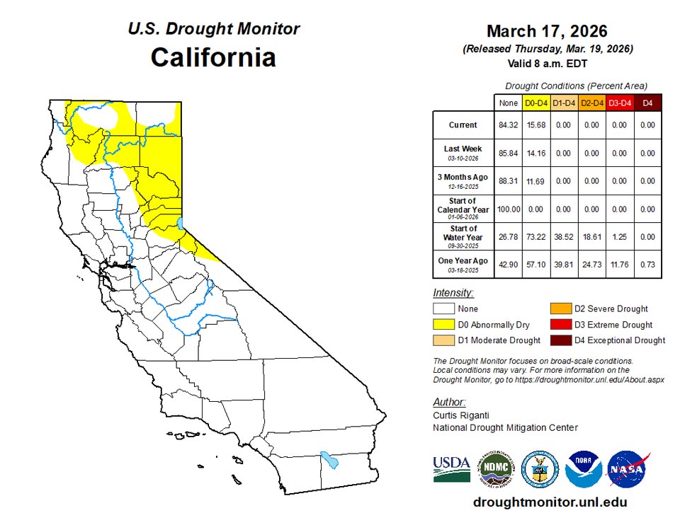 ca20260317 ca trd