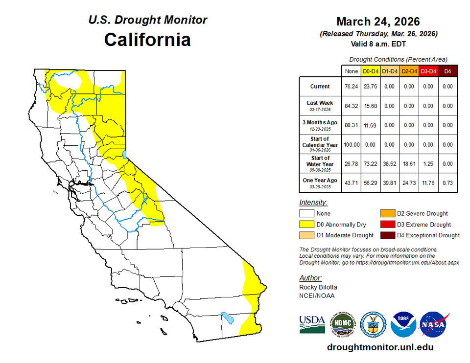 ca20260324 ca trd